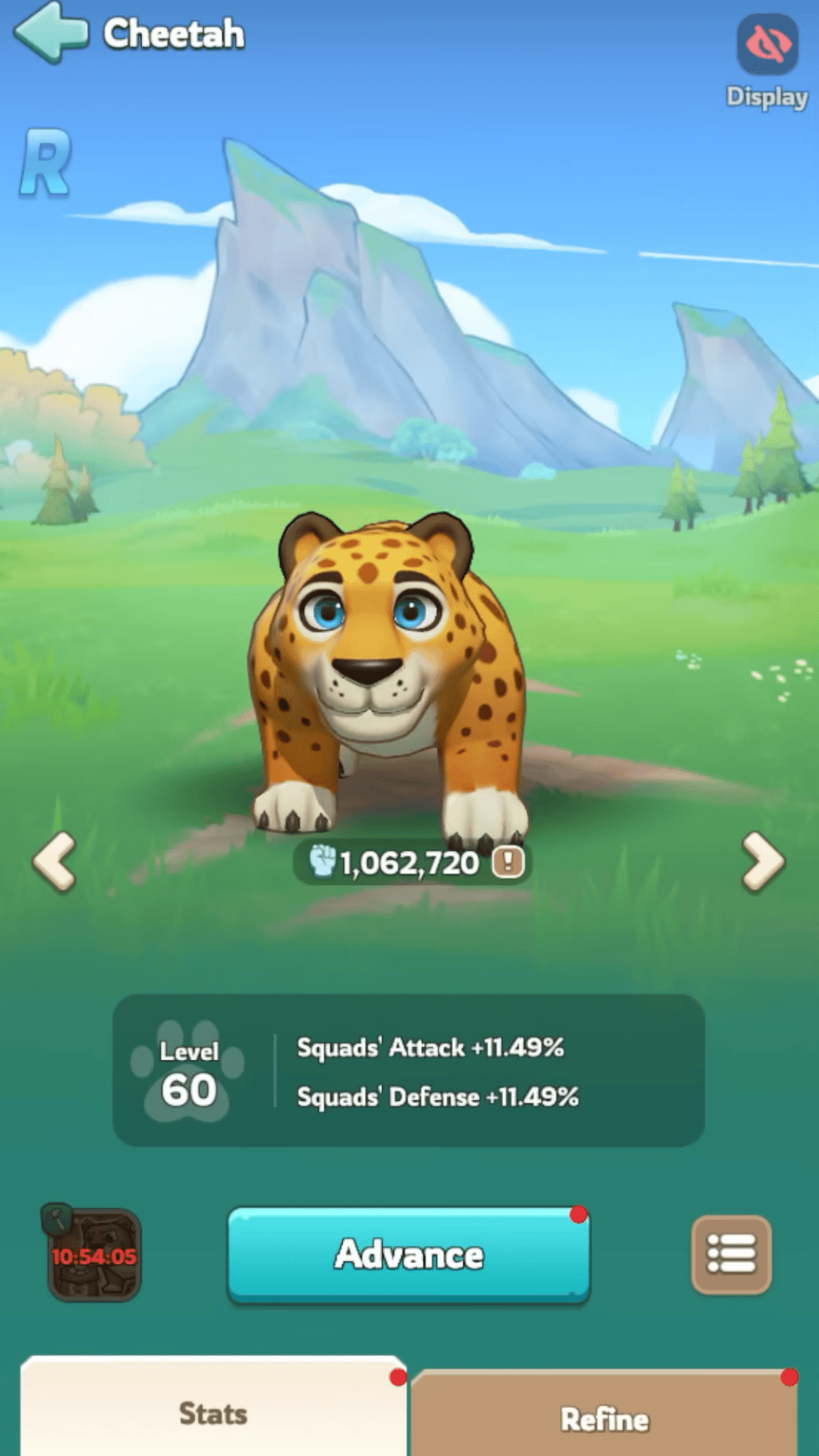 Cheetah pet – Pet Food income