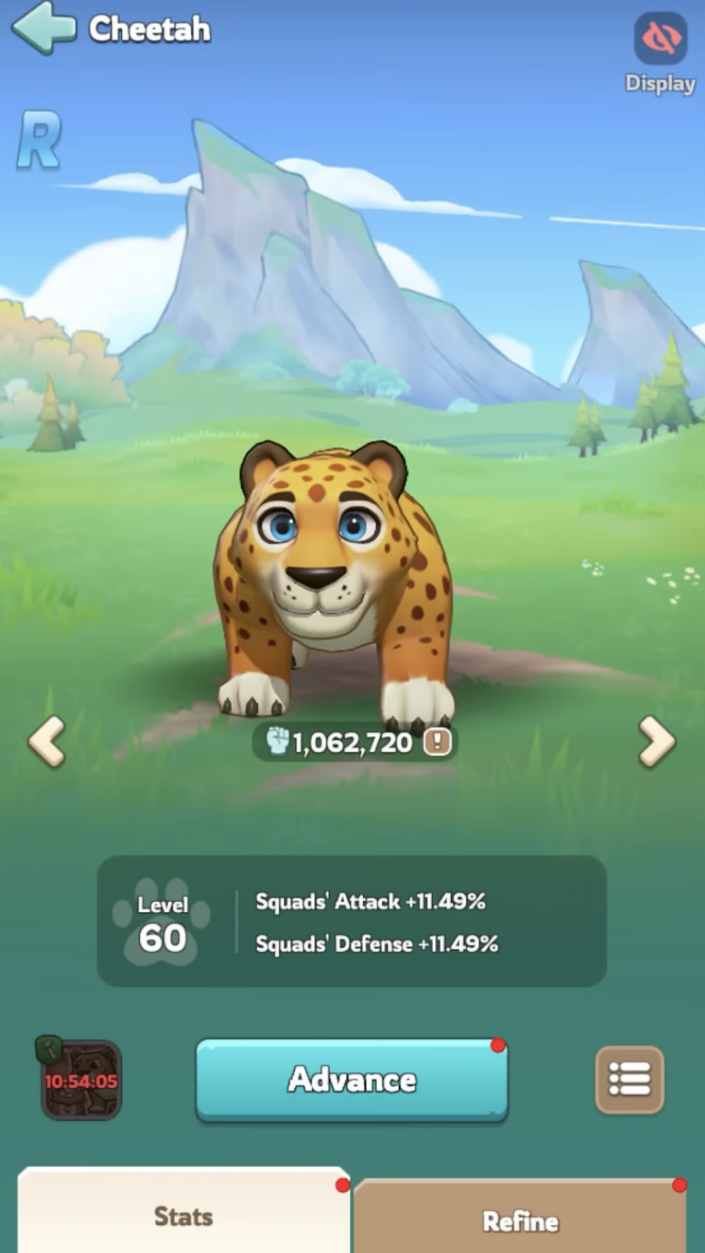 Cheetah pet – Pet Food income